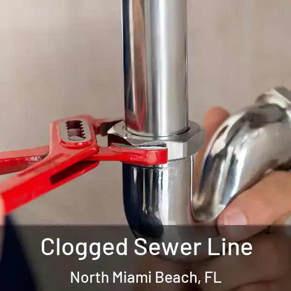  Clogged Sewer Line North Miami Beach, FL