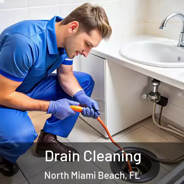  Drain Cleaning North Miami Beach, FL