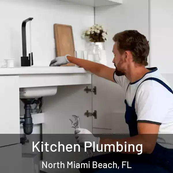  Kitchen Plumbing North Miami Beach, FL