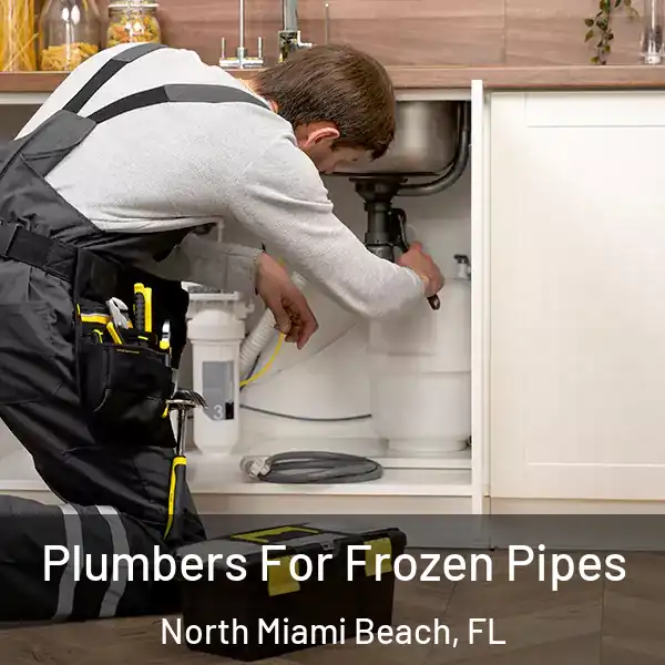 Plumbers For Frozen Pipes North Miami Beach, FL