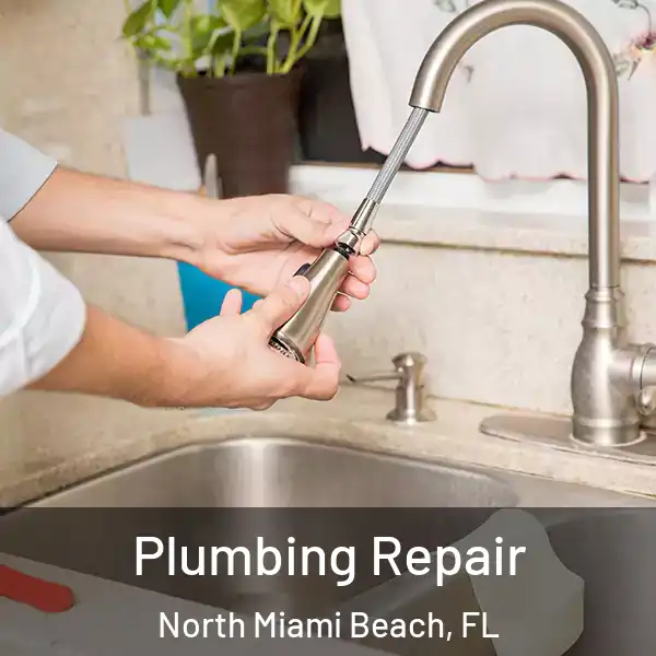  Plumbing Repair North Miami Beach, FL