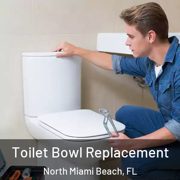  Toilet Bowl Replacement North Miami Beach, FL