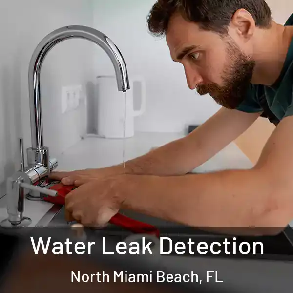  Water Leak Detection North Miami Beach, FL
