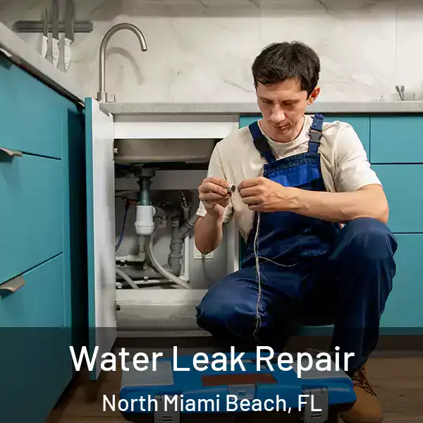  Water Leak Repair North Miami Beach, FL